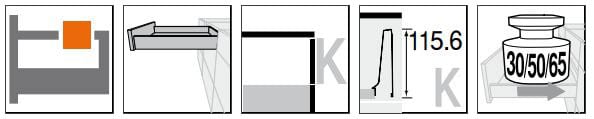 ank-1